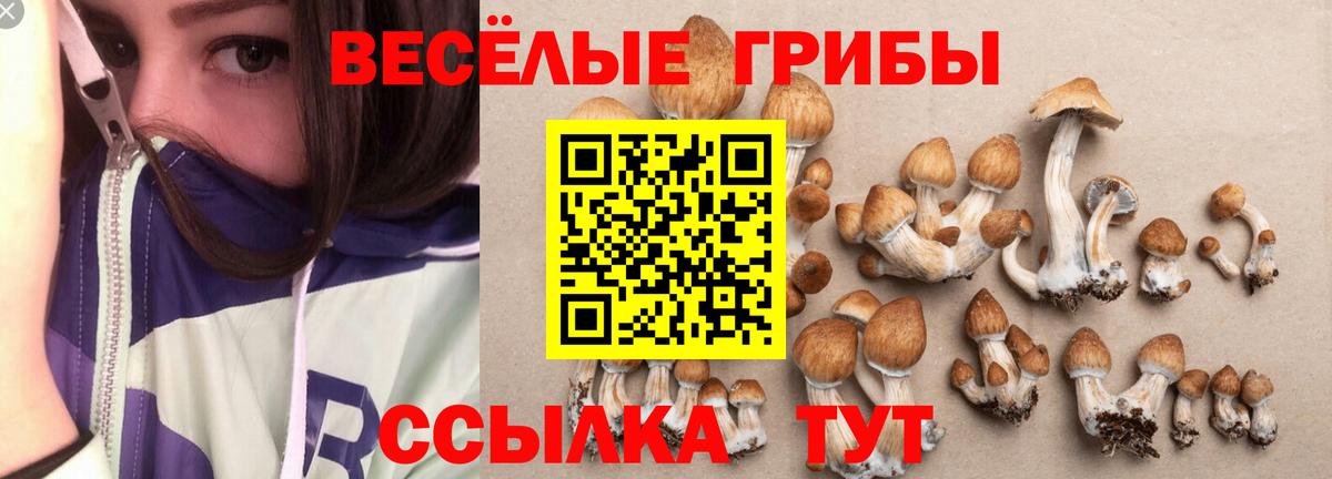 купить наркоту  Псилоцибиновые грибы GOLDEN TEACHER  Галлюциногенные грибы мухоморы  Вход с VPN  Кунгур 