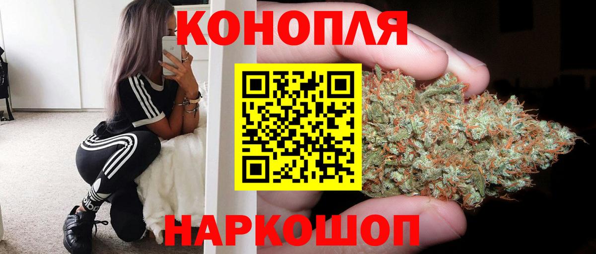 Бошки марихуана гибрид Кунгур